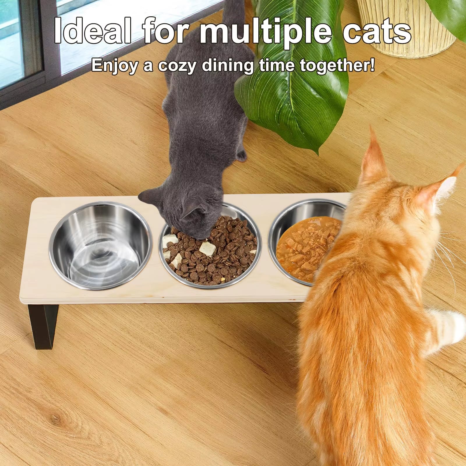 Elevated Cat Bowls Feeder 15° Tilted Raised Feeding & Watering Supplies Pet 3 Stainless Steel Bowls with Stand for Cats Puppies