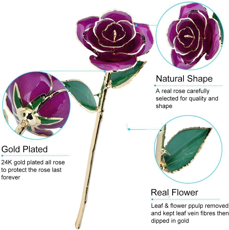 24K Rose for Her, Eternal Love Plated Rose Flower, Romantic Present for Wife, Mom, Grandma, Anniversary, Birthday, Wedding ()