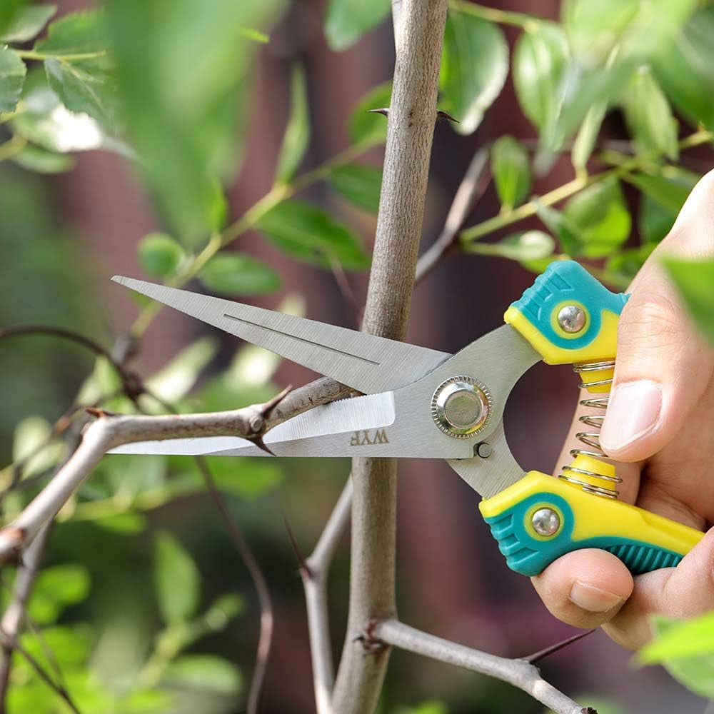 Pruning Scissors, Professional Garden Shears - Straight Stainless Steel Blades - Sharp Gardening Hand Pruner for Garden Harvesting Fruits, Vegetables, Trimming Flowers and Plants, 8.1IN