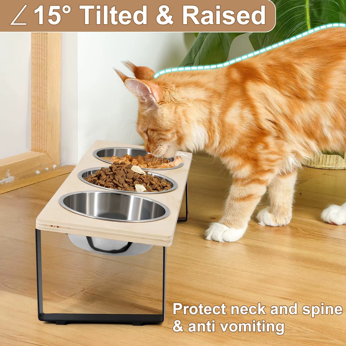 Elevated Cat Bowls Feeder 15° Tilted Raised Feeding & Watering Supplies Pet 3 Stainless Steel Bowls with Stand for Cats Puppies