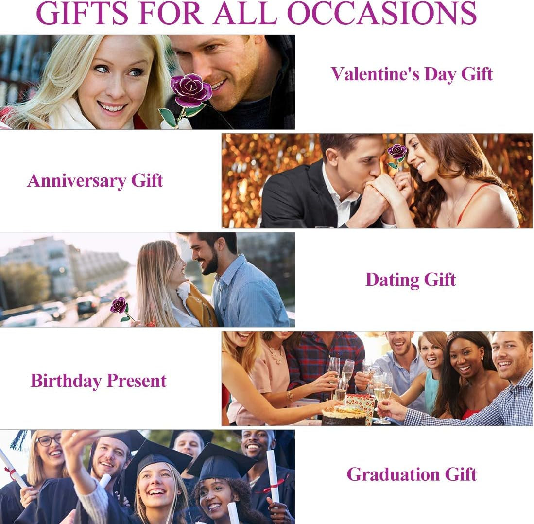 24K Rose for Her, Eternal Love Plated Rose Flower, Romantic Present for Wife, Mom, Grandma, Anniversary, Birthday, Wedding ()
