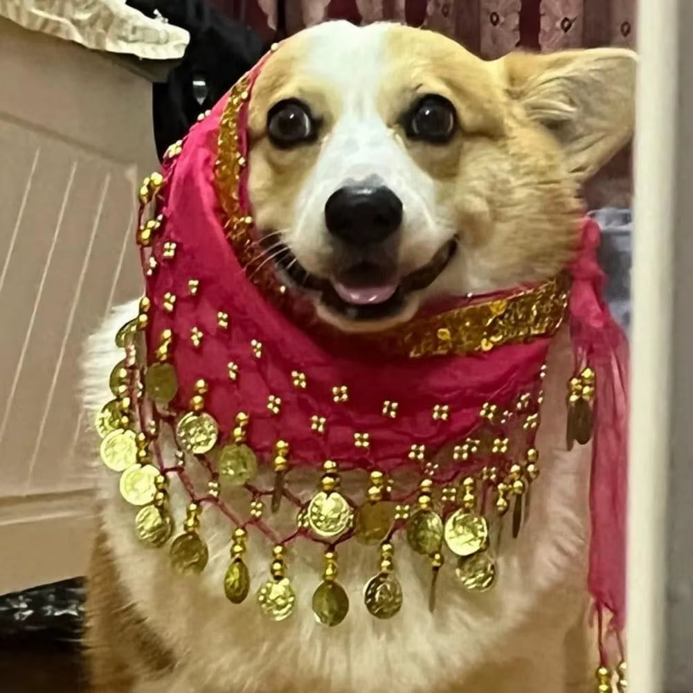 Dog Dance Costume Corgi Waist Chain Butt Curtain Clothes Pet Sequin Belly Dance Prop Puppy Shaking Hip Scarf Halloween Accessory