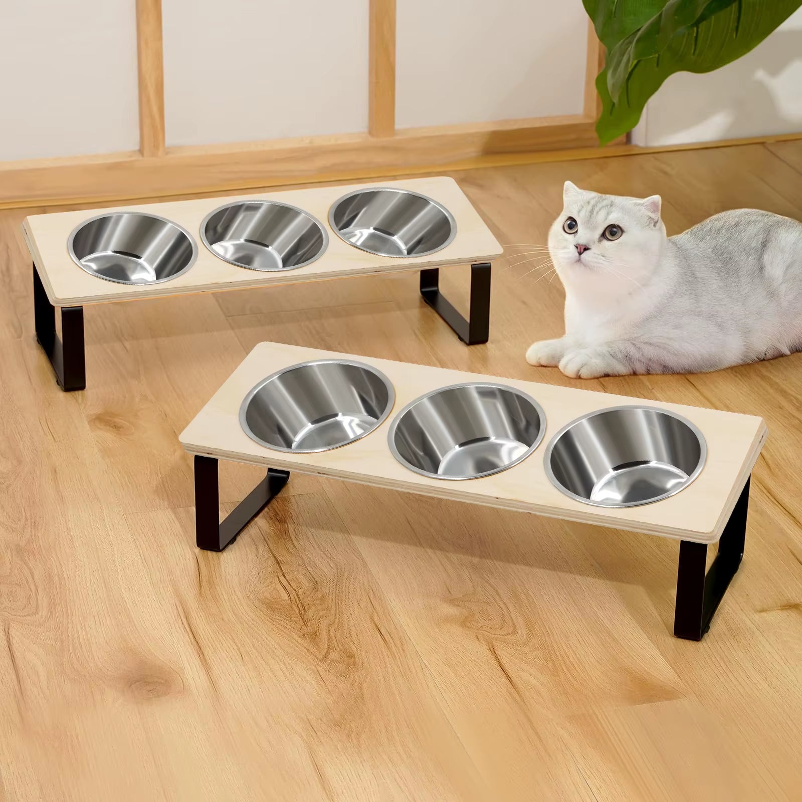 Elevated Cat Bowls Feeder 15° Tilted Raised Feeding & Watering Supplies Pet 3 Stainless Steel Bowls with Stand for Cats Puppies